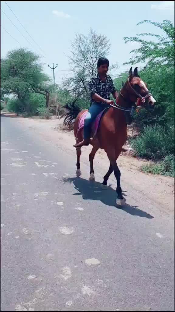 @Karan Suraj