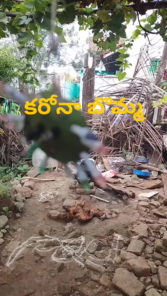 @Vasu pspk kapu