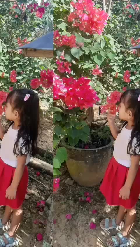 @@ ANIK ACR 💗NGANJUK@
