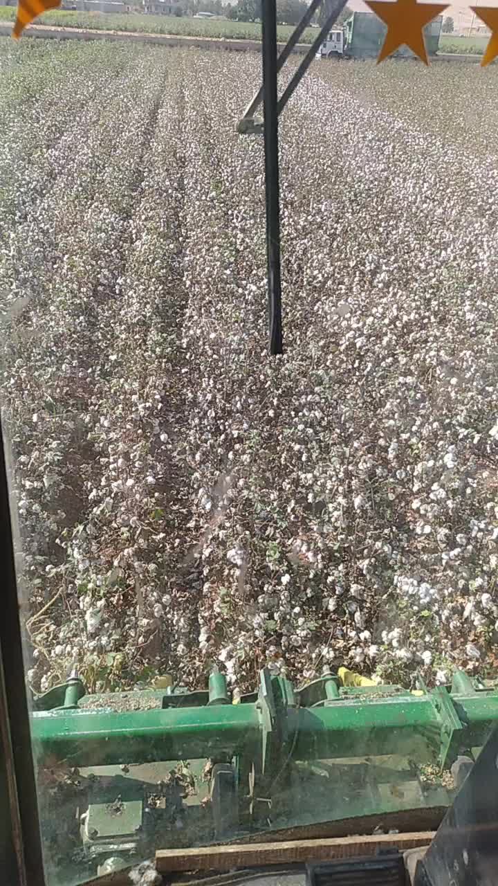 @SALİH NAİMOĞLU