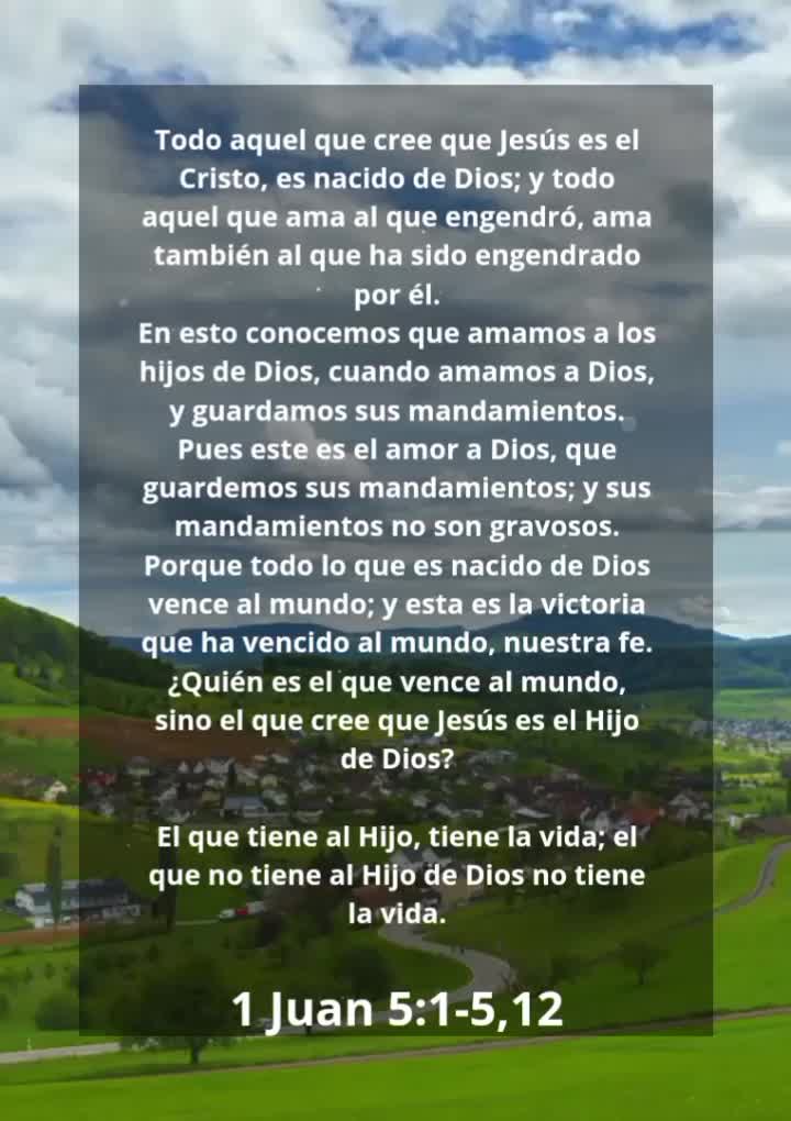 @Vicayquipa