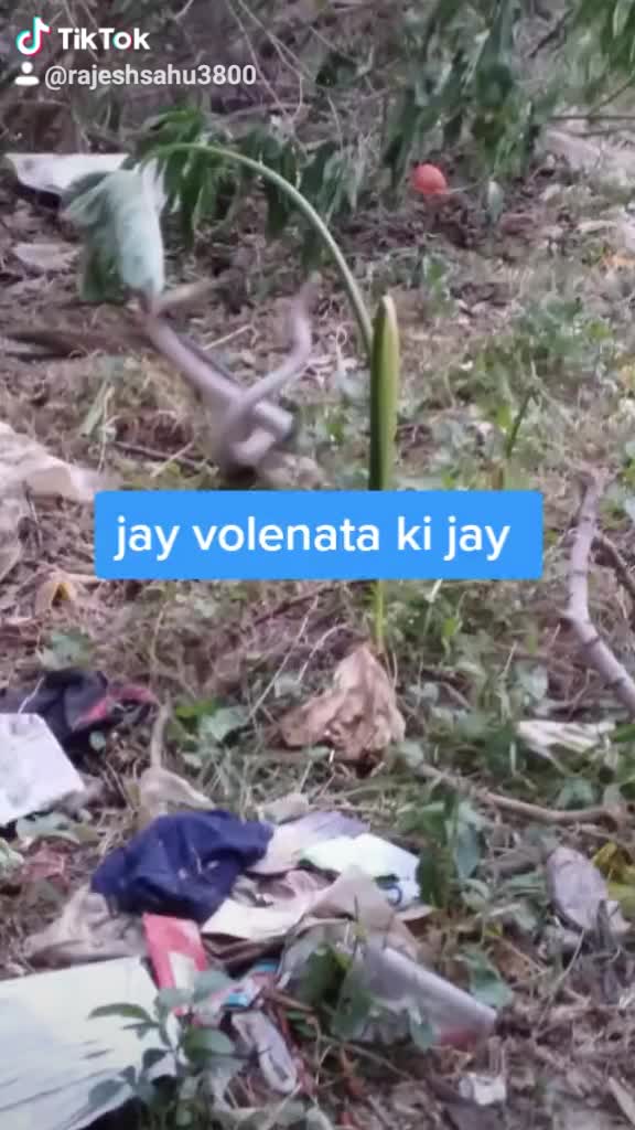 @Rajesh Sahu