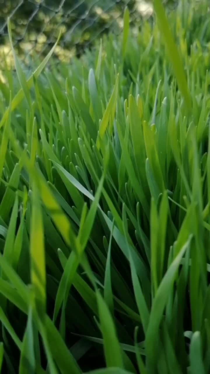 @Sarahskleinegrossewelt