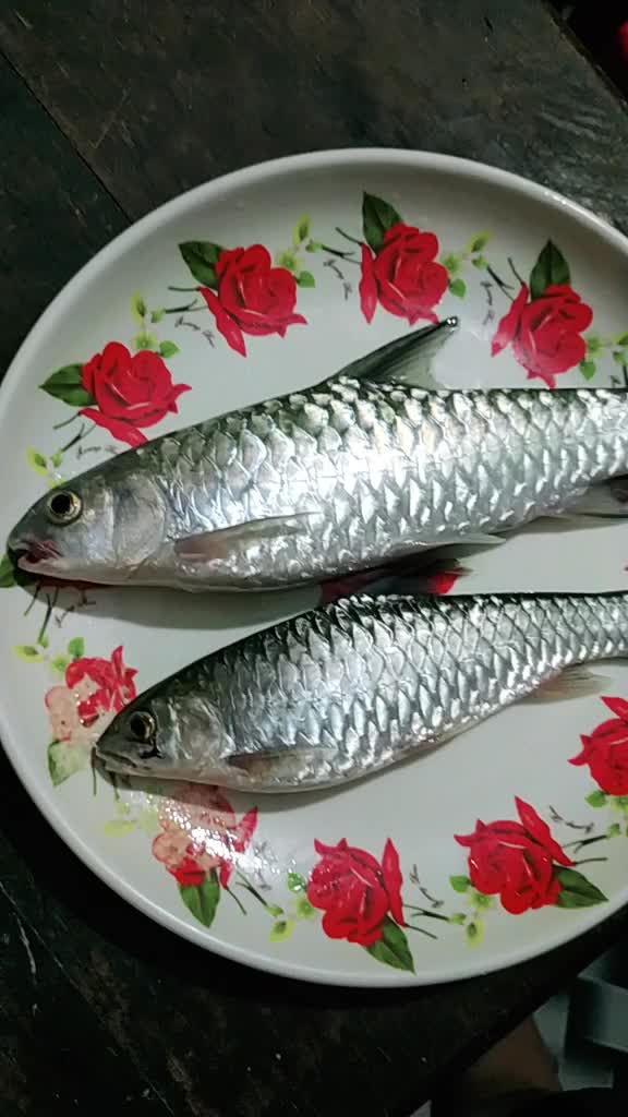 @Pranita Bhujel