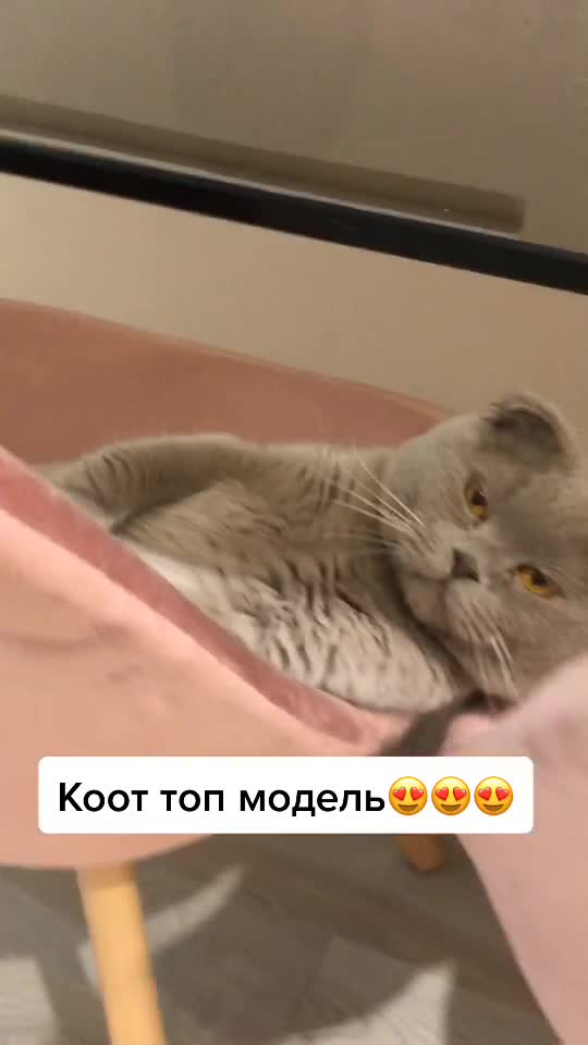 @Дарья Николаева