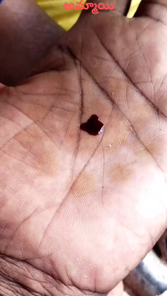 @user9025426095545