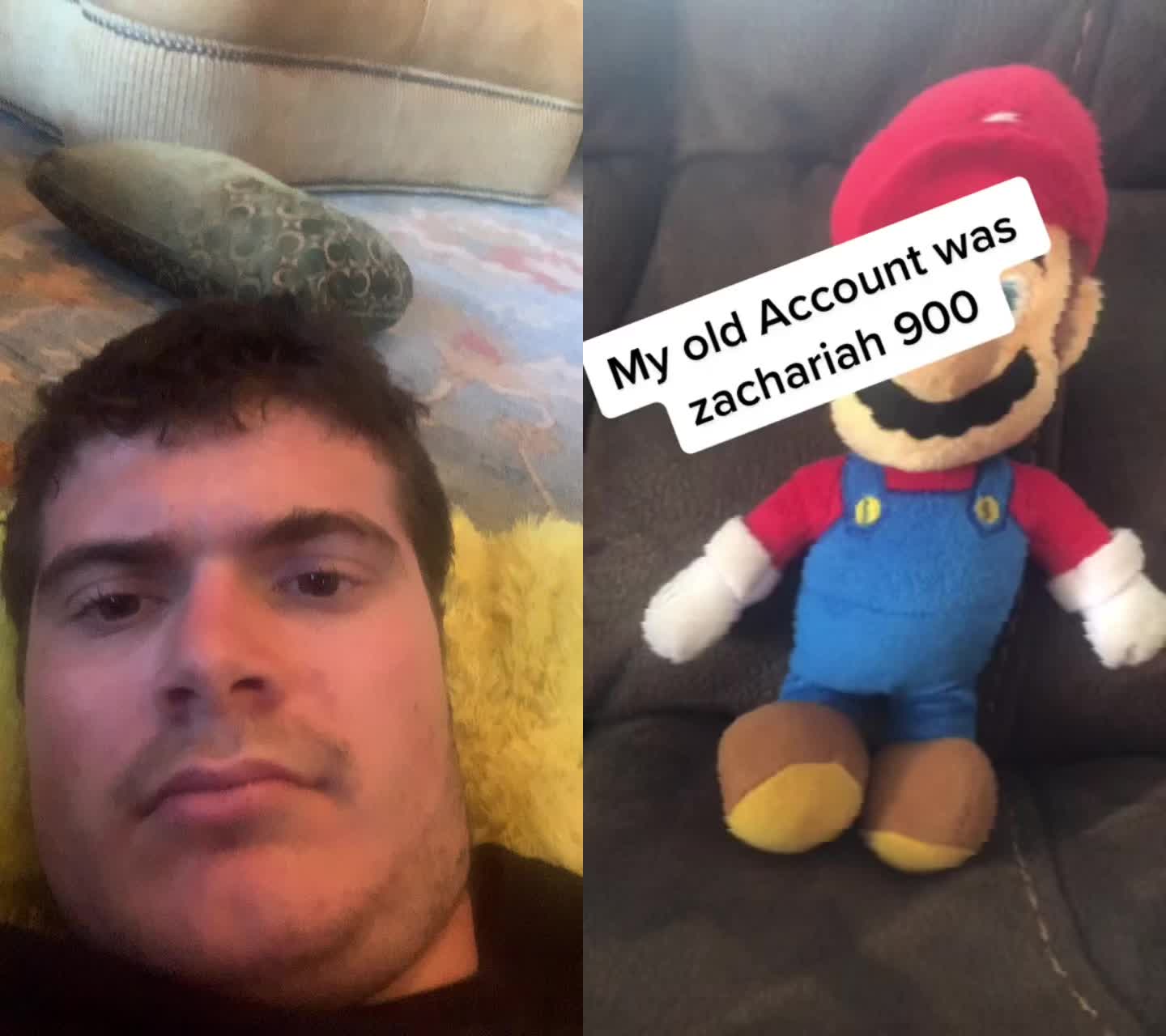@Mr. StinkBugg