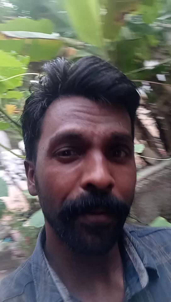 @Rajeshkumar