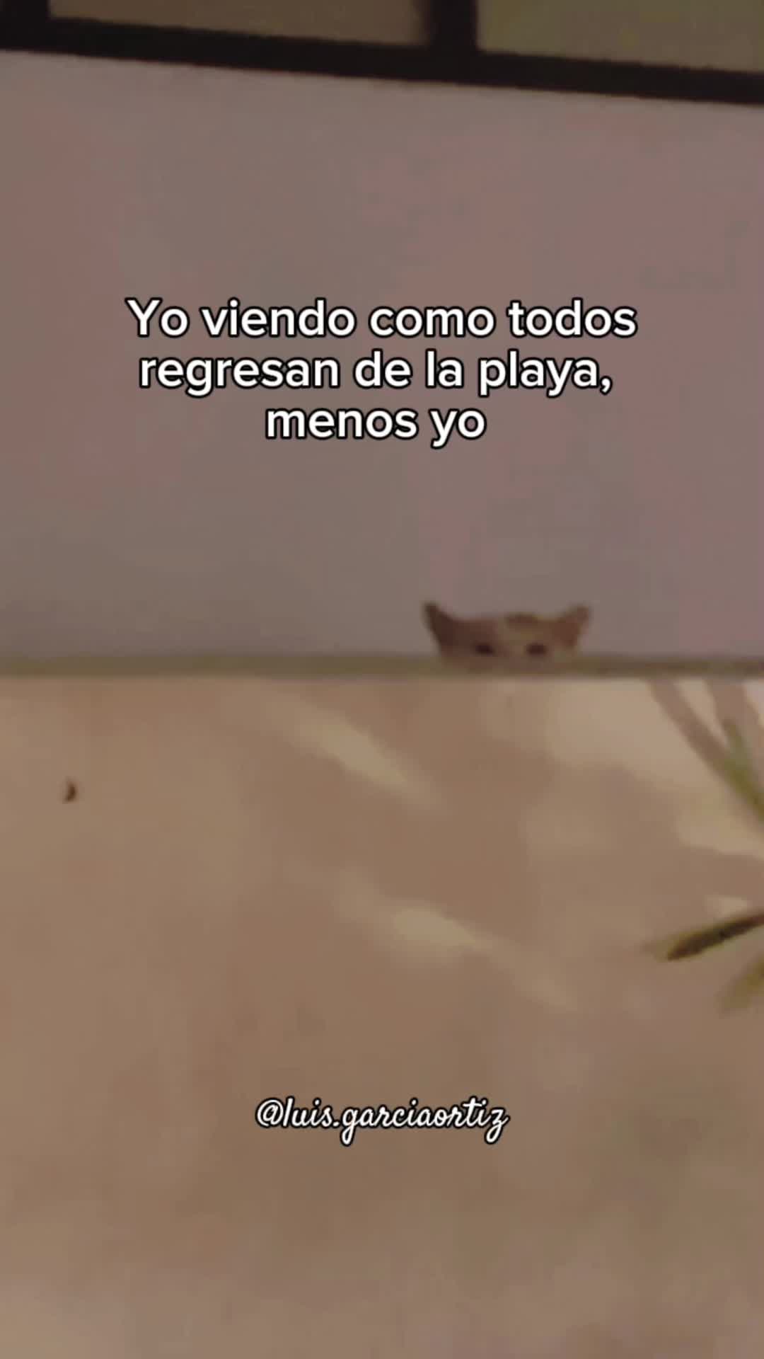 @Luis Garcia Ortiz