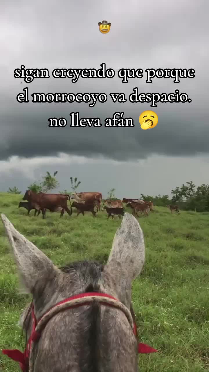 @Juan Meza