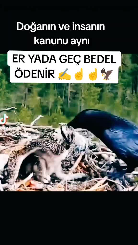 @___KARTAL__🖤🦅