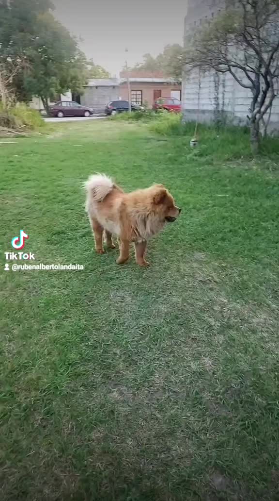 @Ruben Alberto Landaita