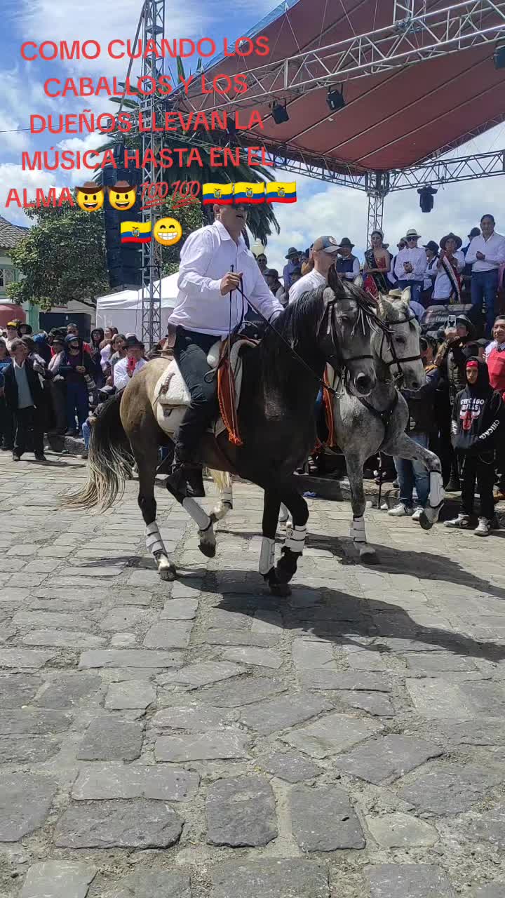 @Galante🐎