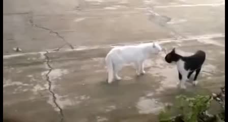 @jayalekshmisyam