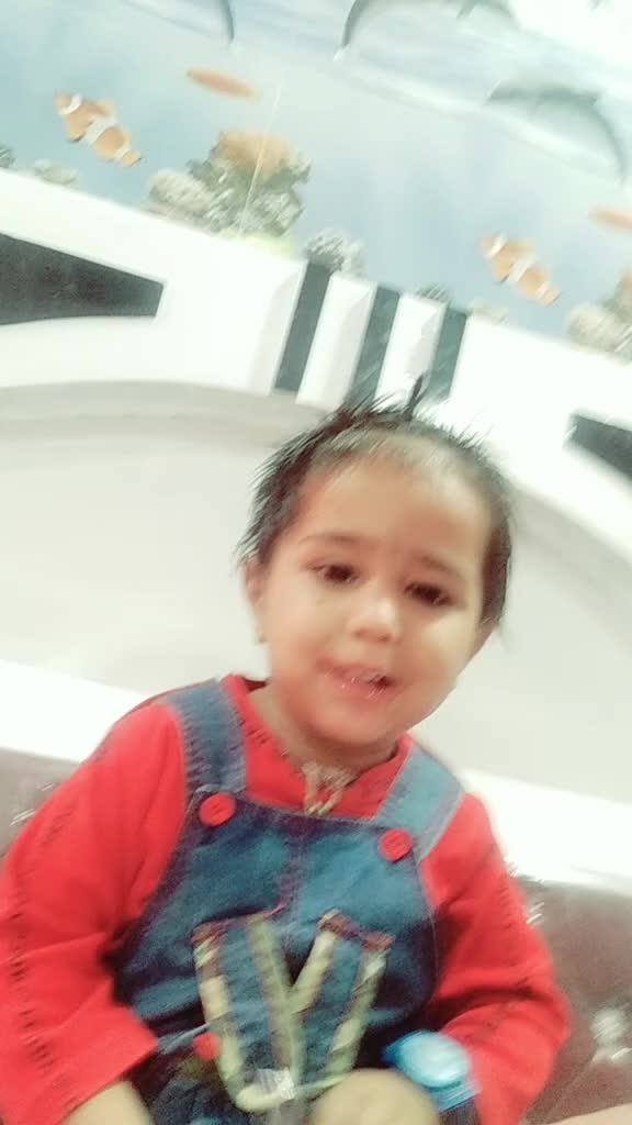 @nishadarwani
