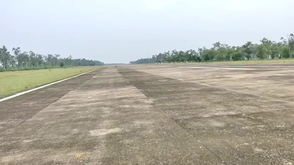 @ali vai