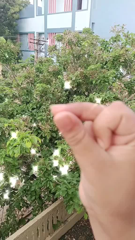 @Nch.radhika Nchradhi