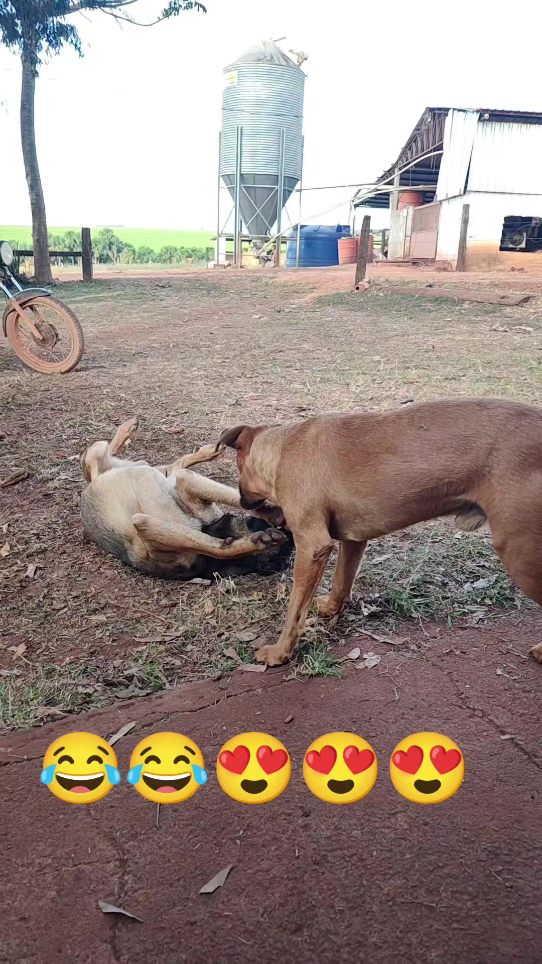@AventurasAnimales