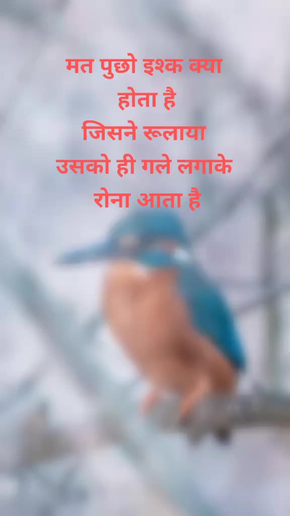 @D KUMAR