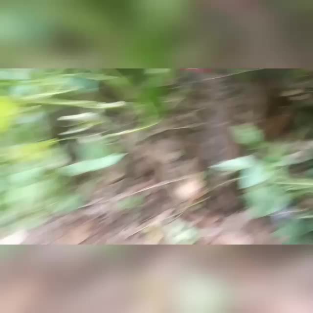 @sowdha