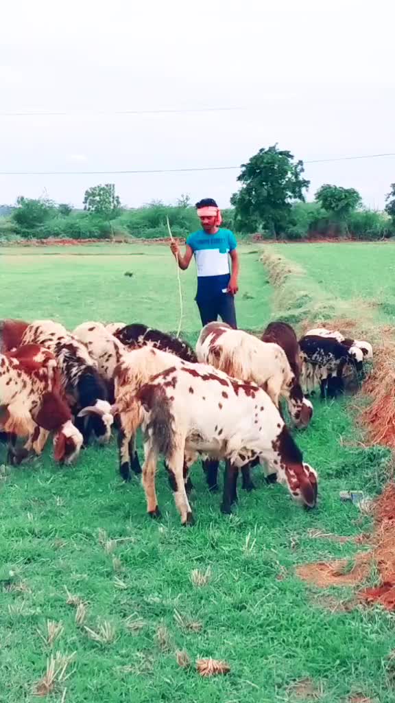 @PⒶⓋⒶⓃ_RⒶⒾⓃⒶ_⑤_ⓄⒻⒻⒾⒸⒾⒶⓁ