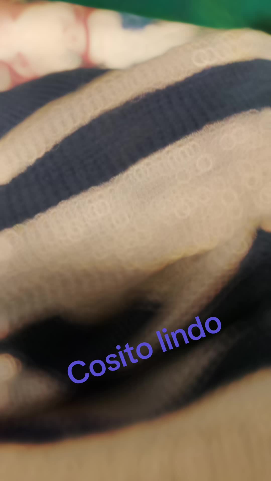 @Marion Montellanos