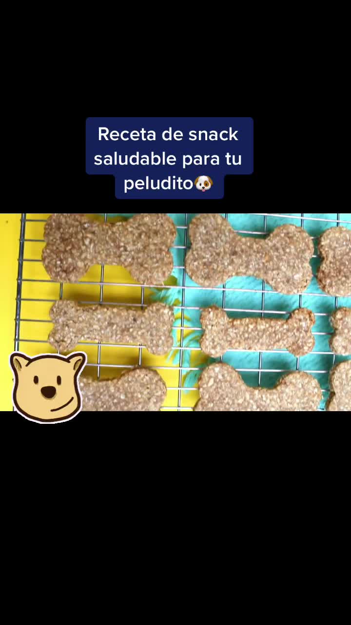@mascotasfelices