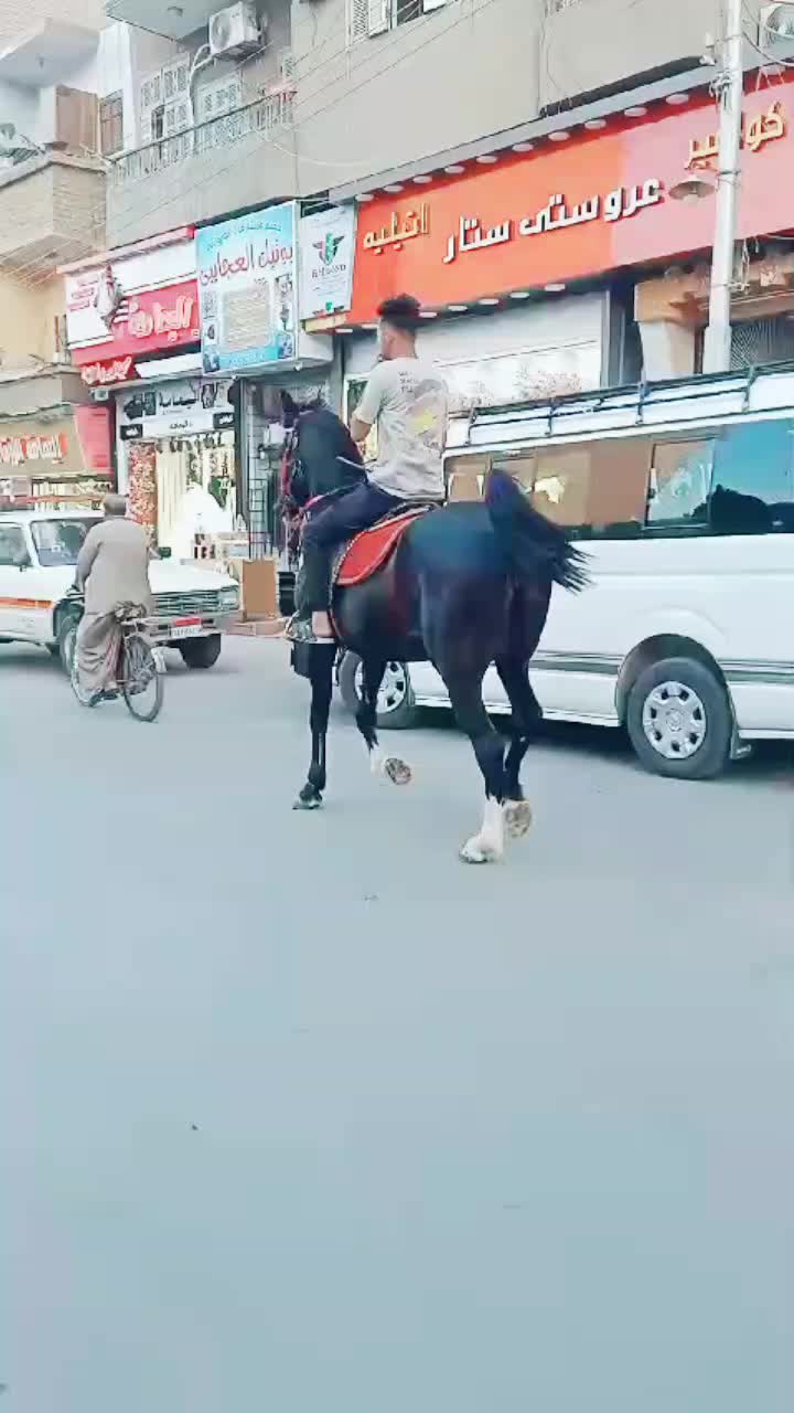 @ابو منازع🖤😎