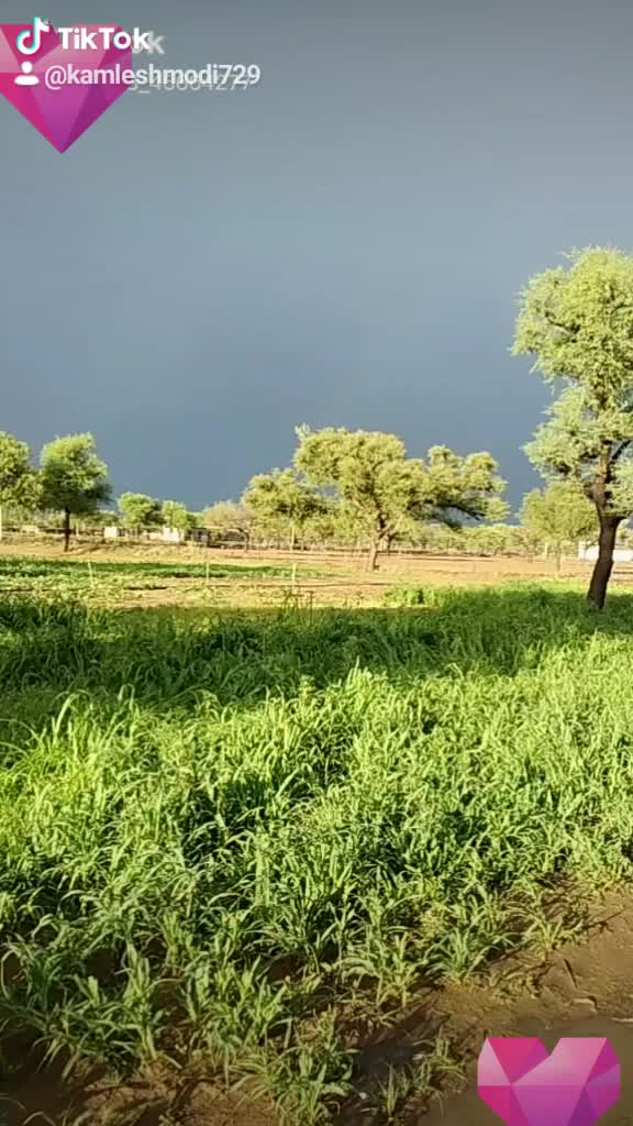 @team Rajasthani😍😍