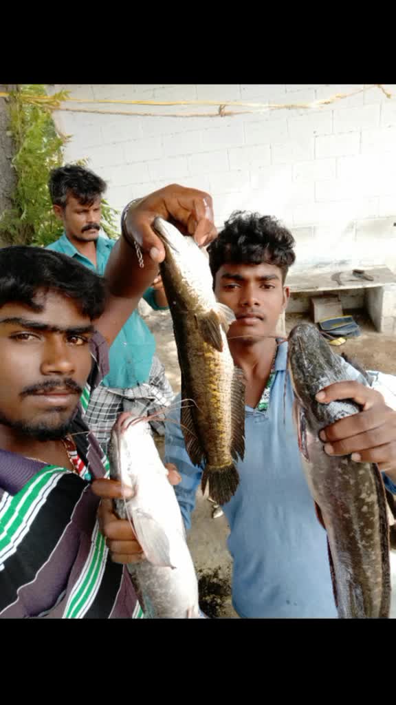 @Aravind