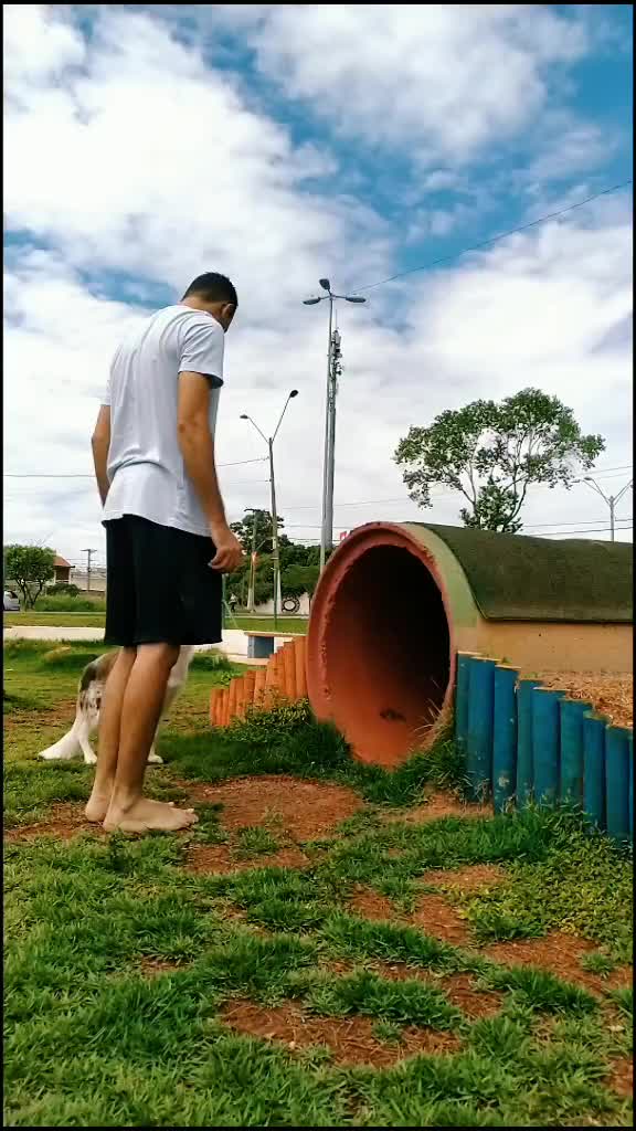 @Marcos Milani Adestr