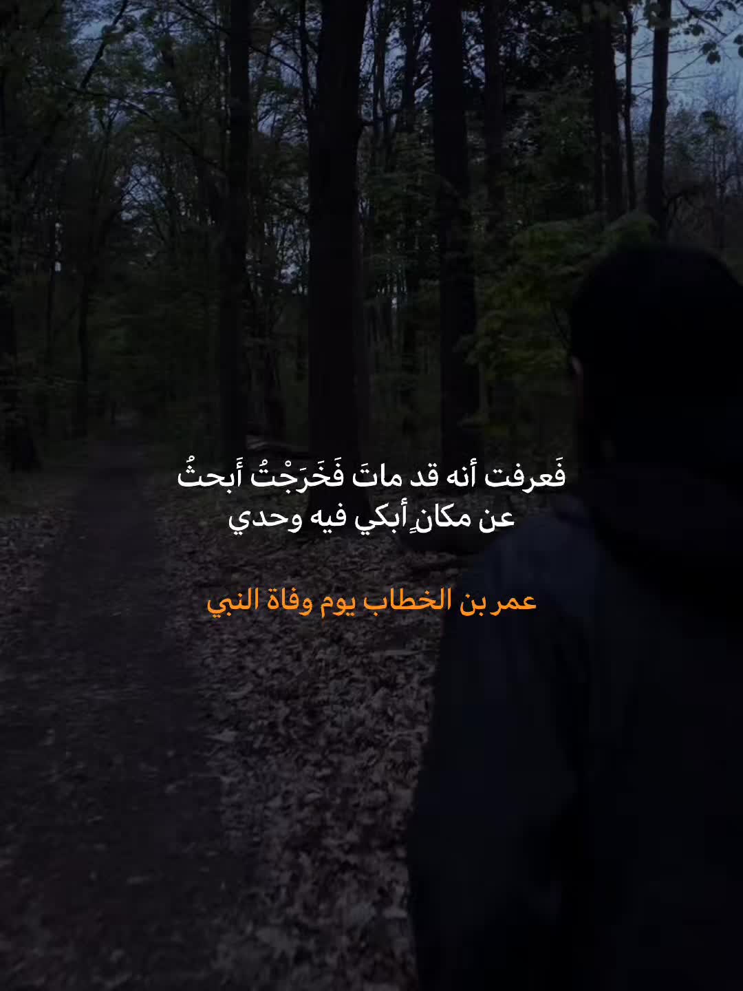 @أحمـد |1423هـ