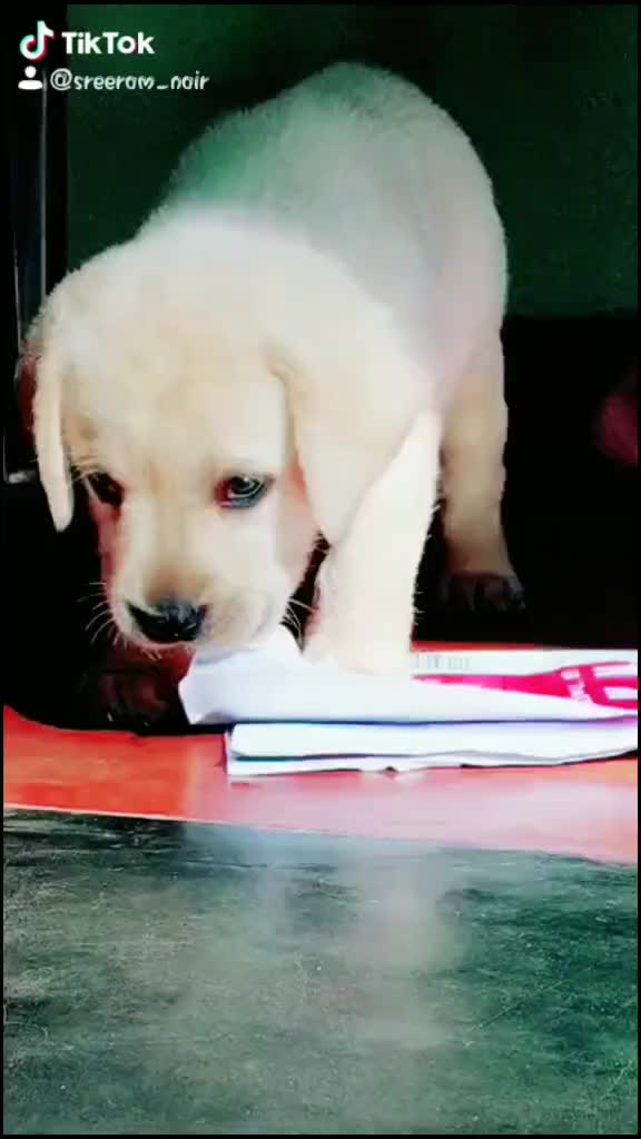 @sreeram