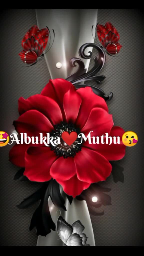 @albukka