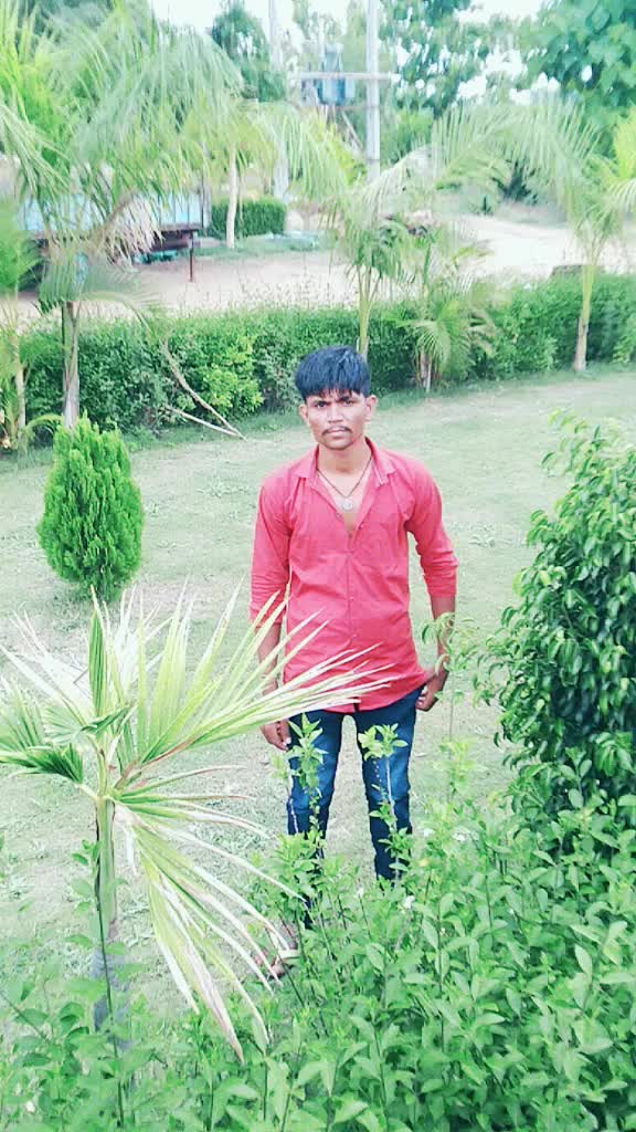 @king..n.d..bapu..sa.