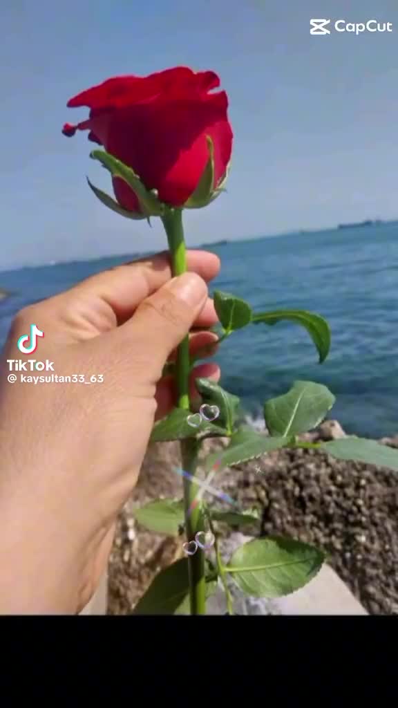 @NURMAMAD