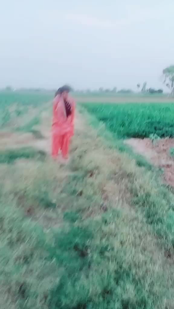@neha Saharan
