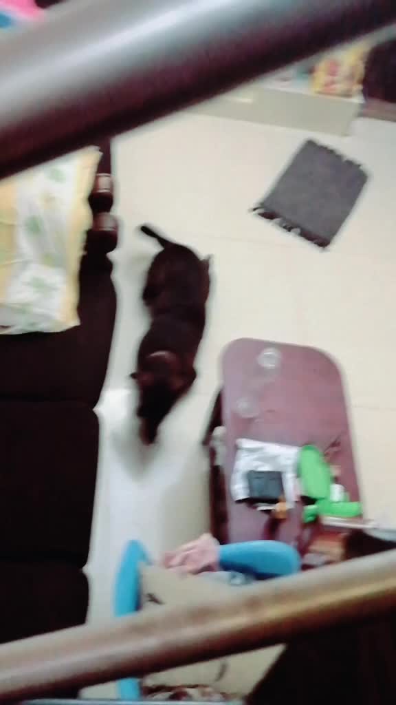 @Nivetha_nivi