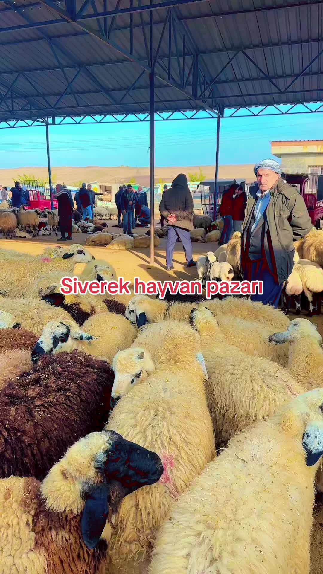 @Ferat G&Uuml;M&Uuml;ŞTAŞ