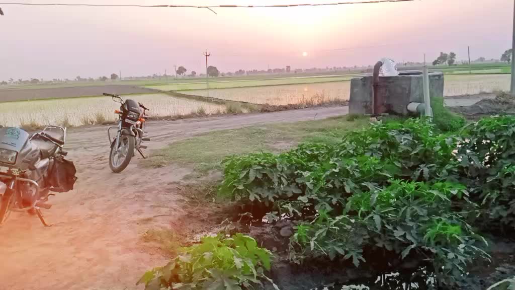 @Ravi Kamboj407