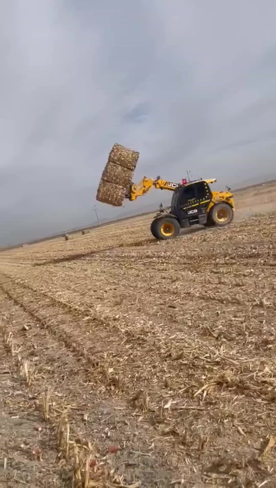 @Kerim Hoşin