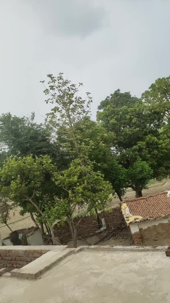 @Shivam_Sri_650025z😎