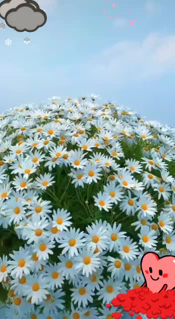 @murlidhar verma39208