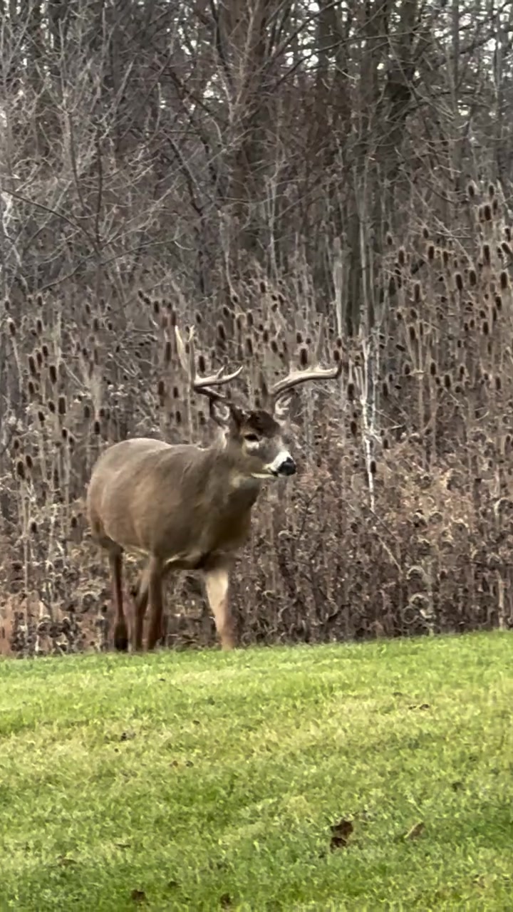 @Buckmasters Outdoors