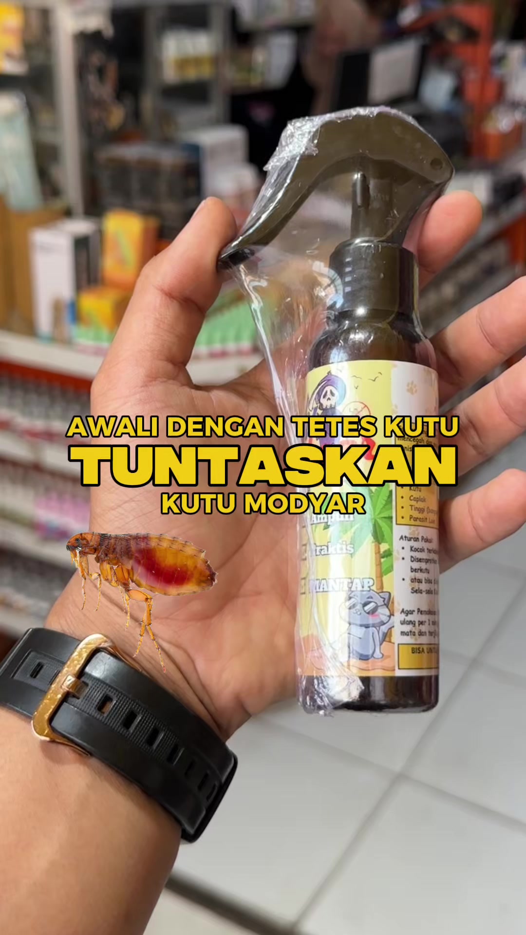 @bejo petmart