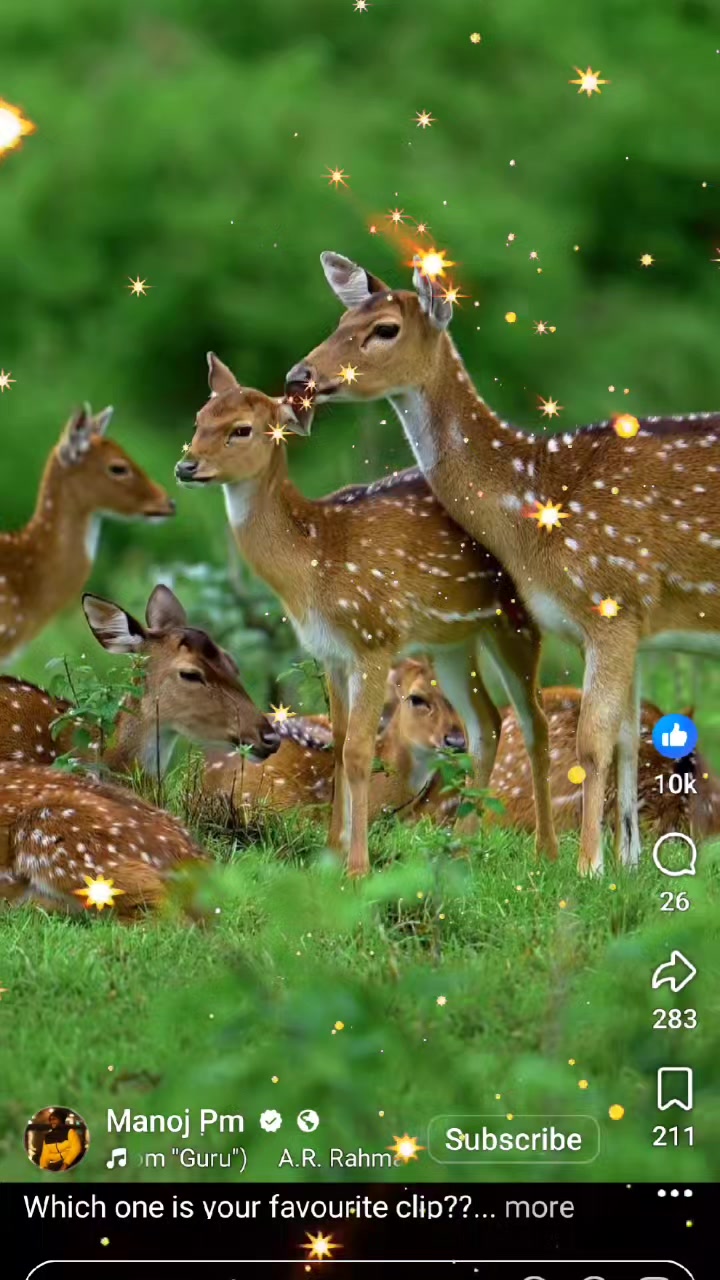 @#subbu darlig #๐น๐ถโ๏ธ๐น๐๐๐น