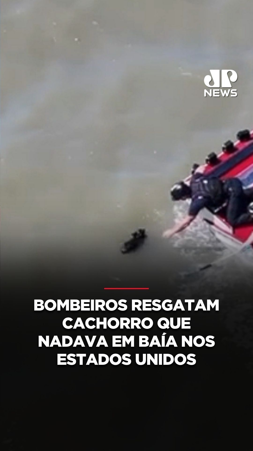 @Jovem Pan News