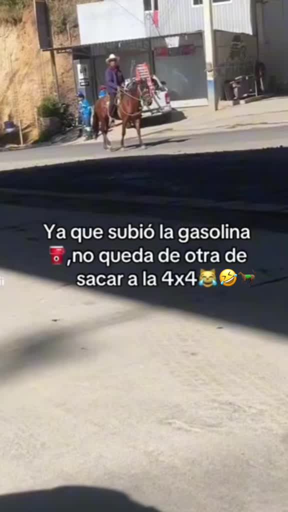 @maynor