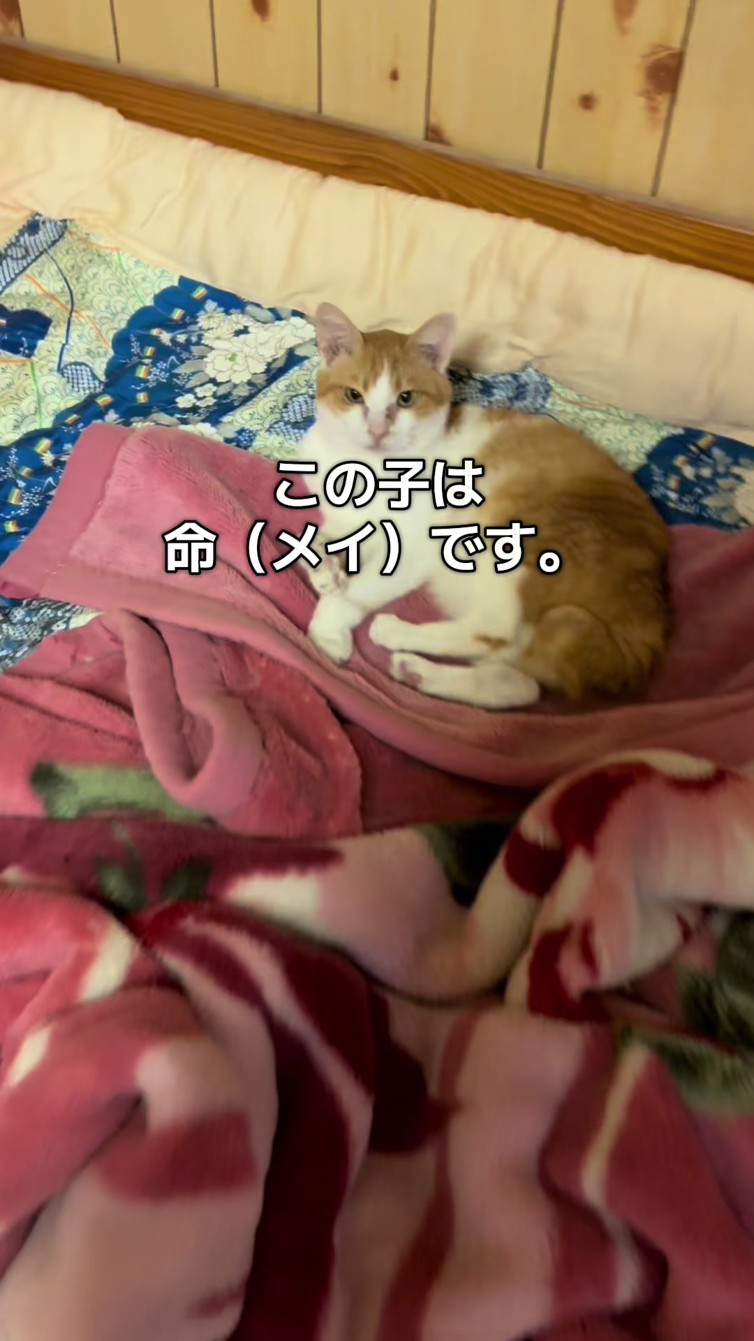 @ブルースカイの倫
