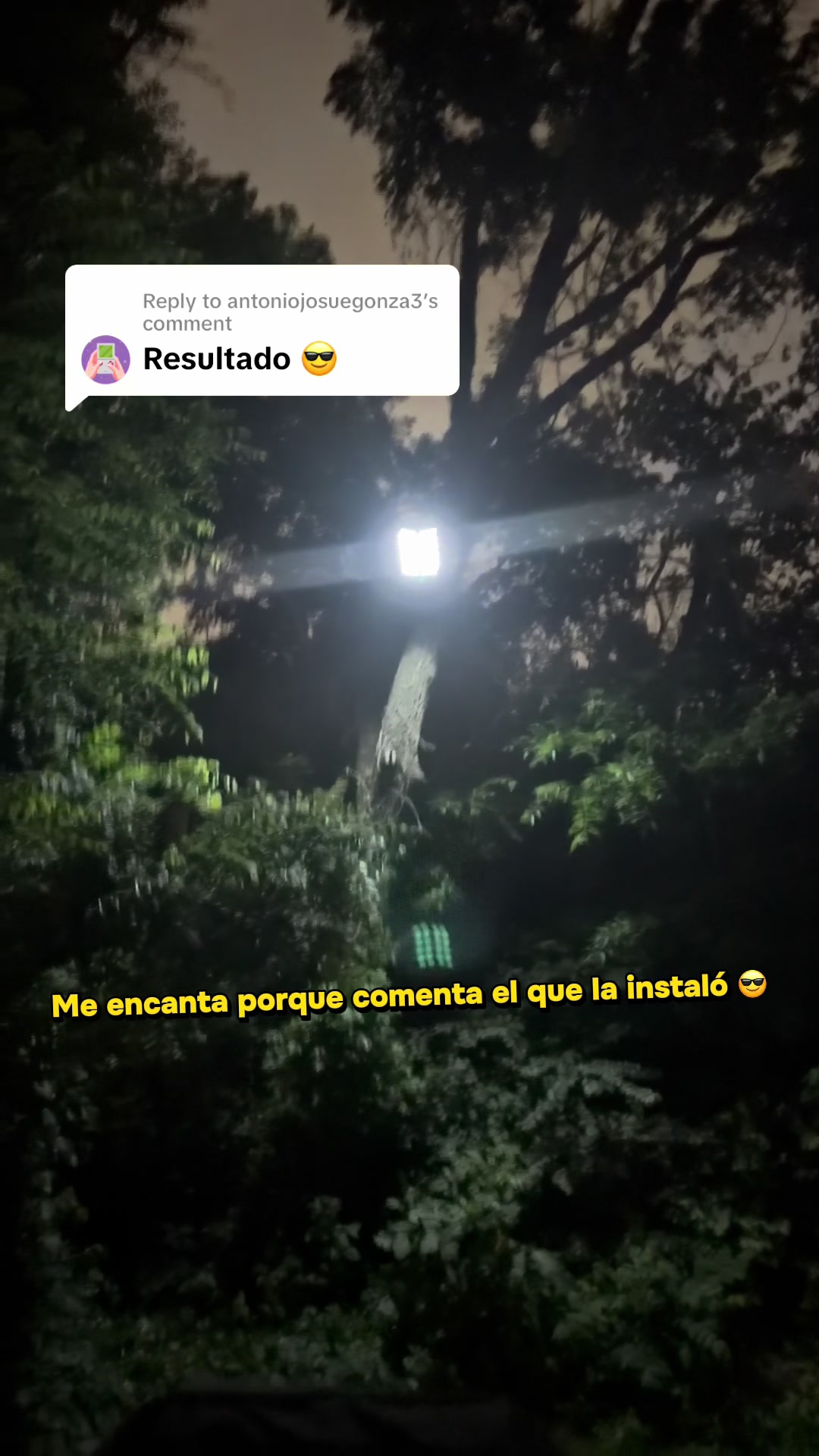 @Dianitacubangirl